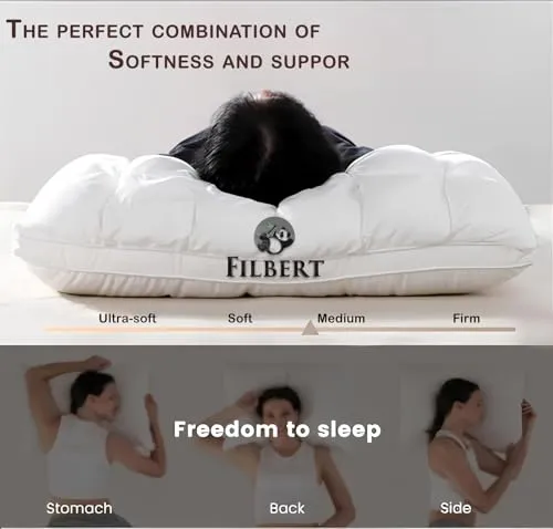 Filbert Super Soft Premium Box Buffle Pinch Pleate Adjustable Hight Pillows 18x28 Inch Standard Size Luxurious Down Alternative Sleeping Pillow | Beige - Set of - 2