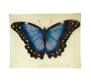 John Derian Glass Tray, Medium