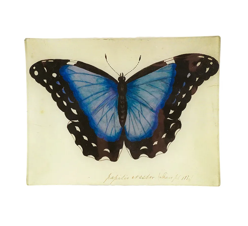 John Derian Glass Tray, Medium